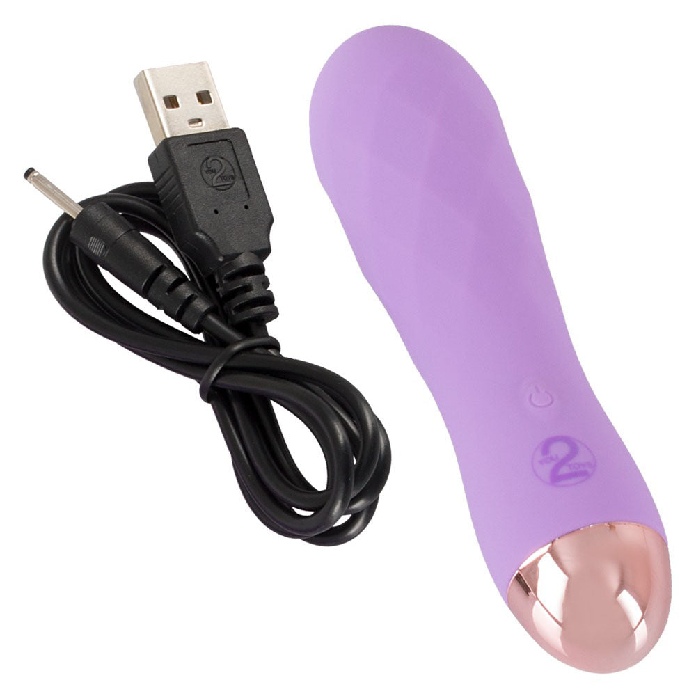 Silk Touch Rechargeable Mini Vibrator Purple