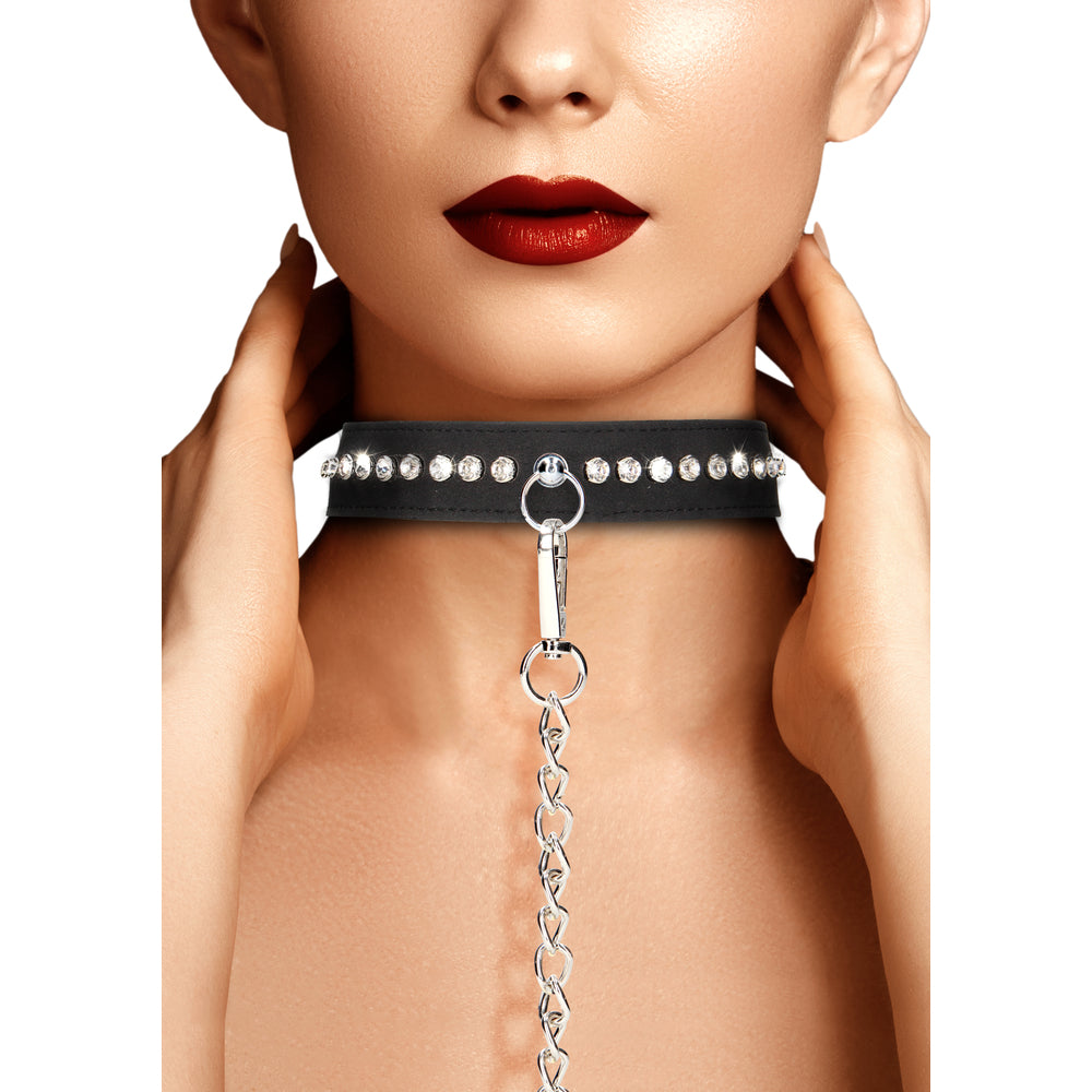 Diamond Studded Collar With Leash