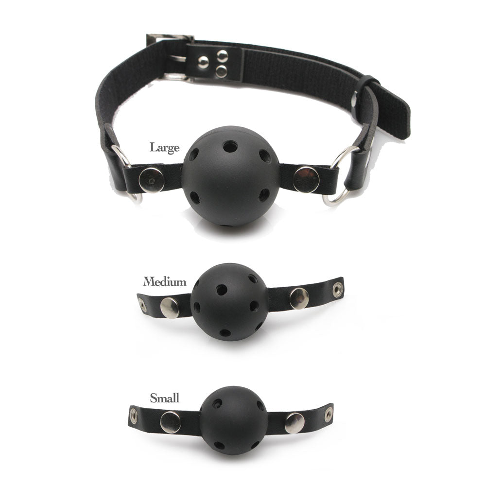 Series Ball Gag Training System