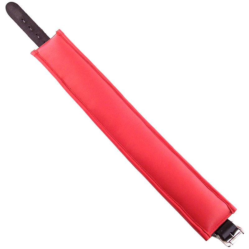 Black And Red Padded Collar