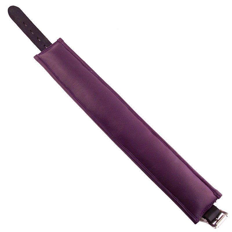Black And Purple Padded Collar
