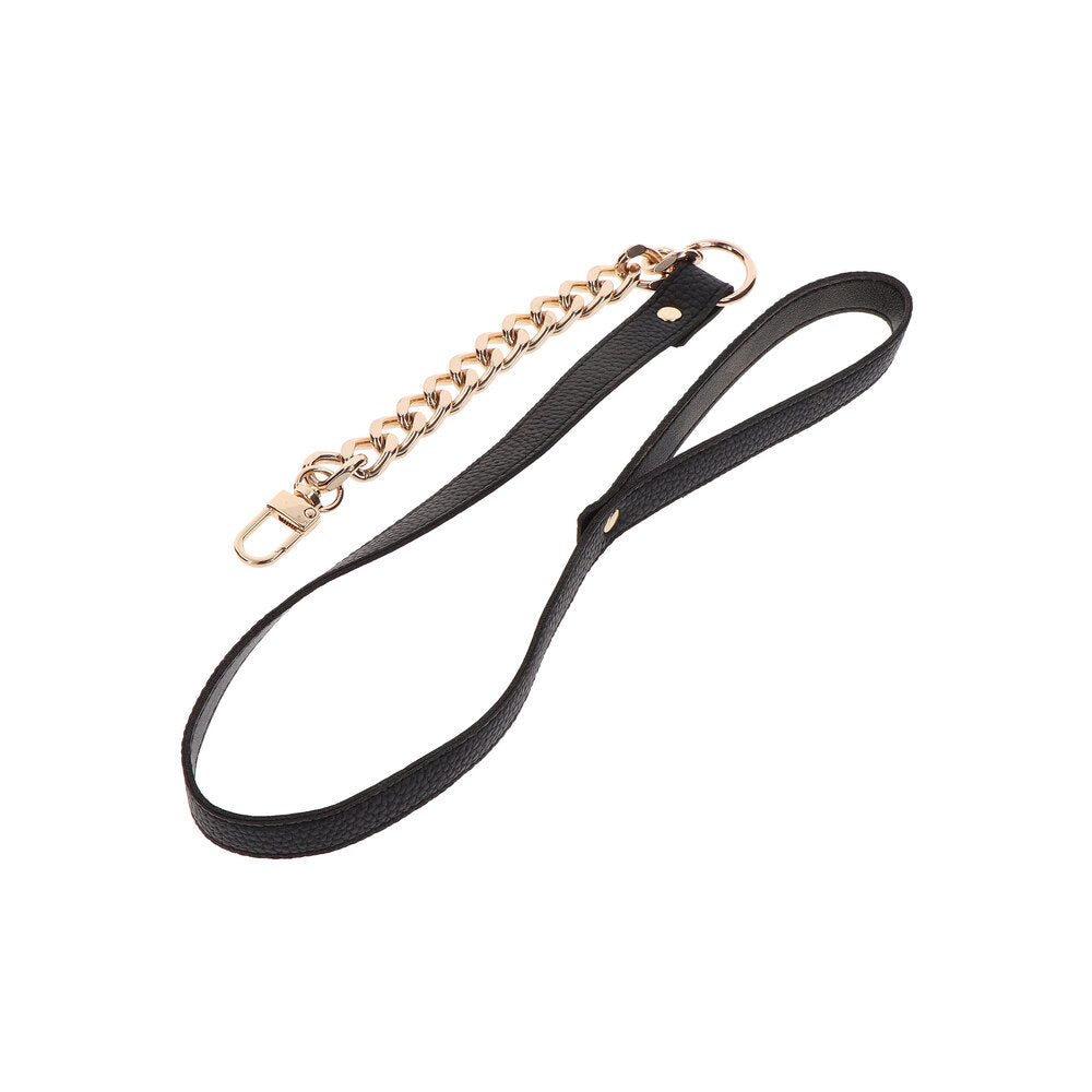 Dona Statement Leash