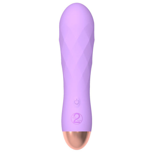 Silk Touch Rechargeable Mini Vibrator Purple