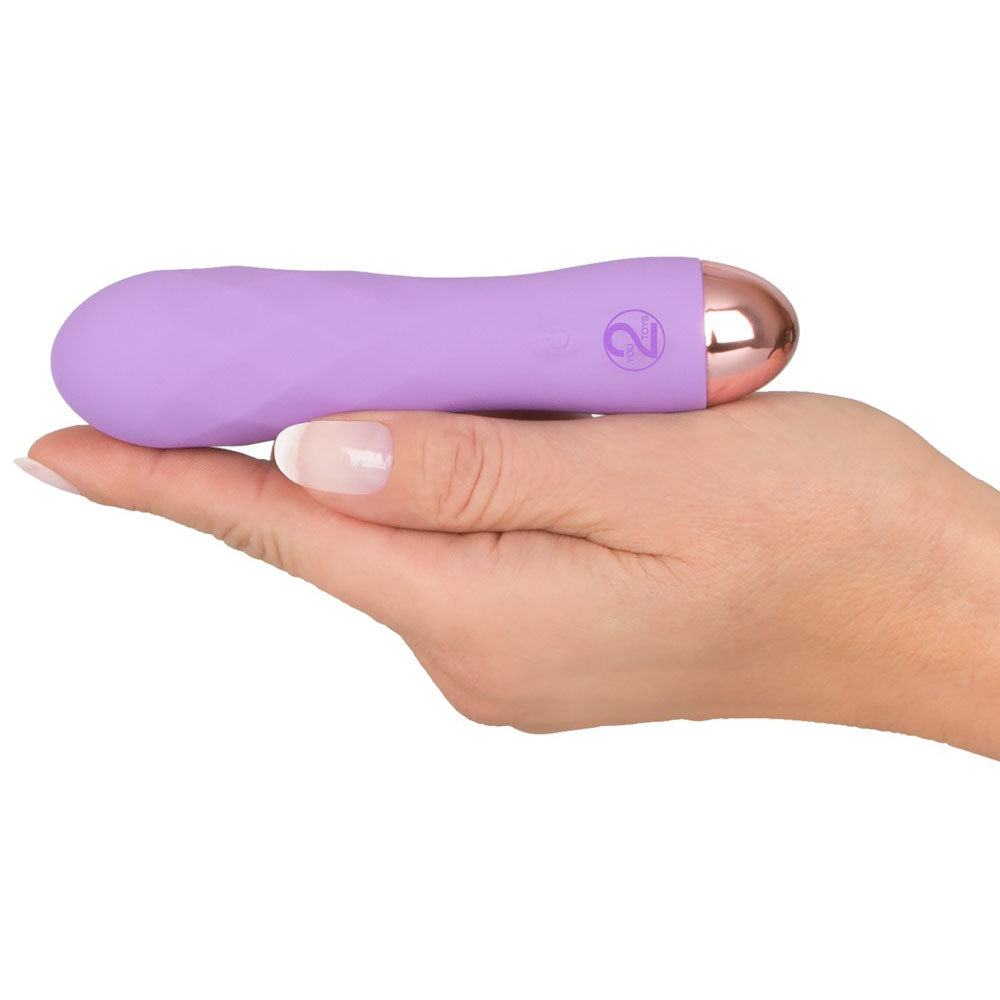 Silk Touch Rechargeable Mini Vibrator Purple