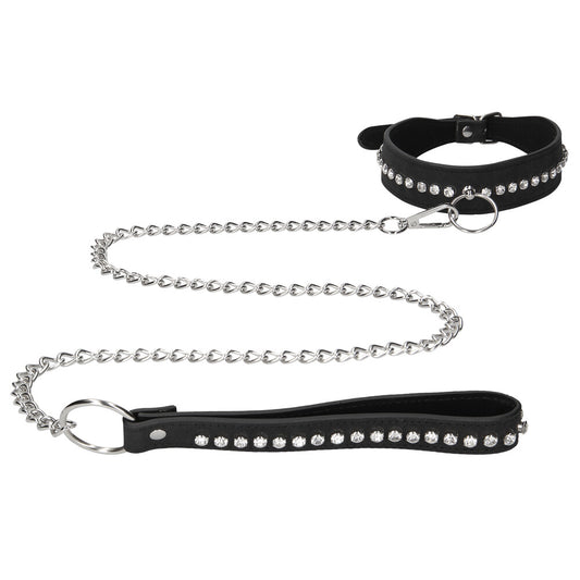 Diamond Studded Collar With Leash