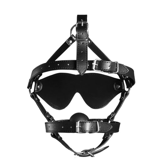 Blindfolded Harness With Solid Ball Gag