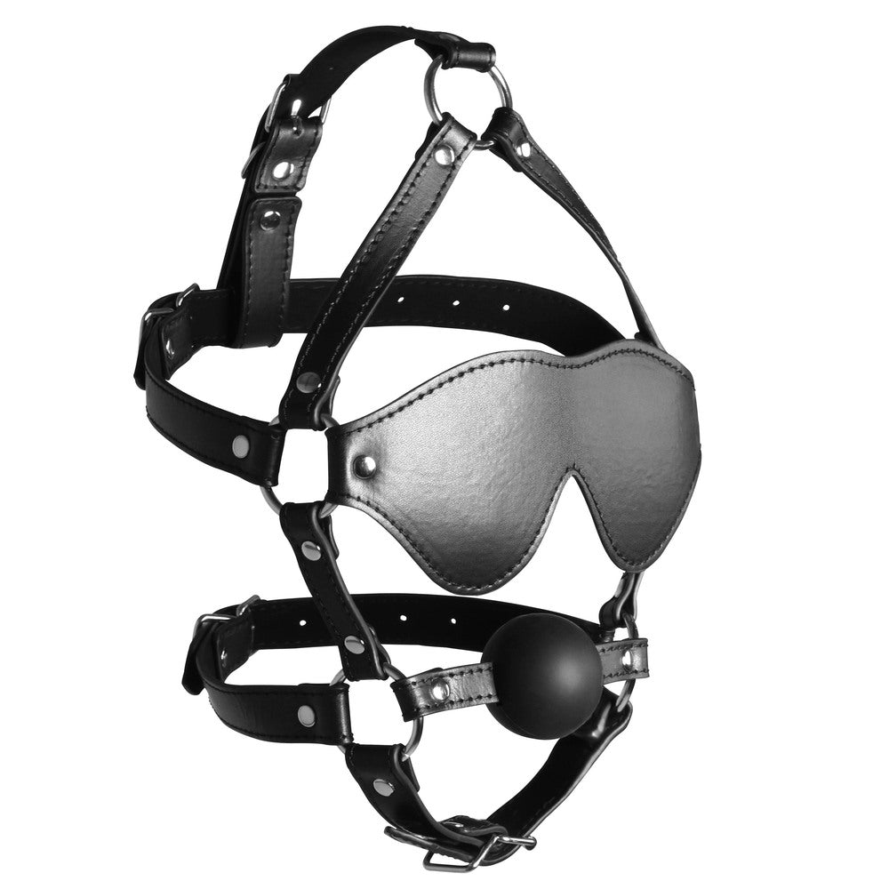 Blindfolded Harness With Solid Ball Gag