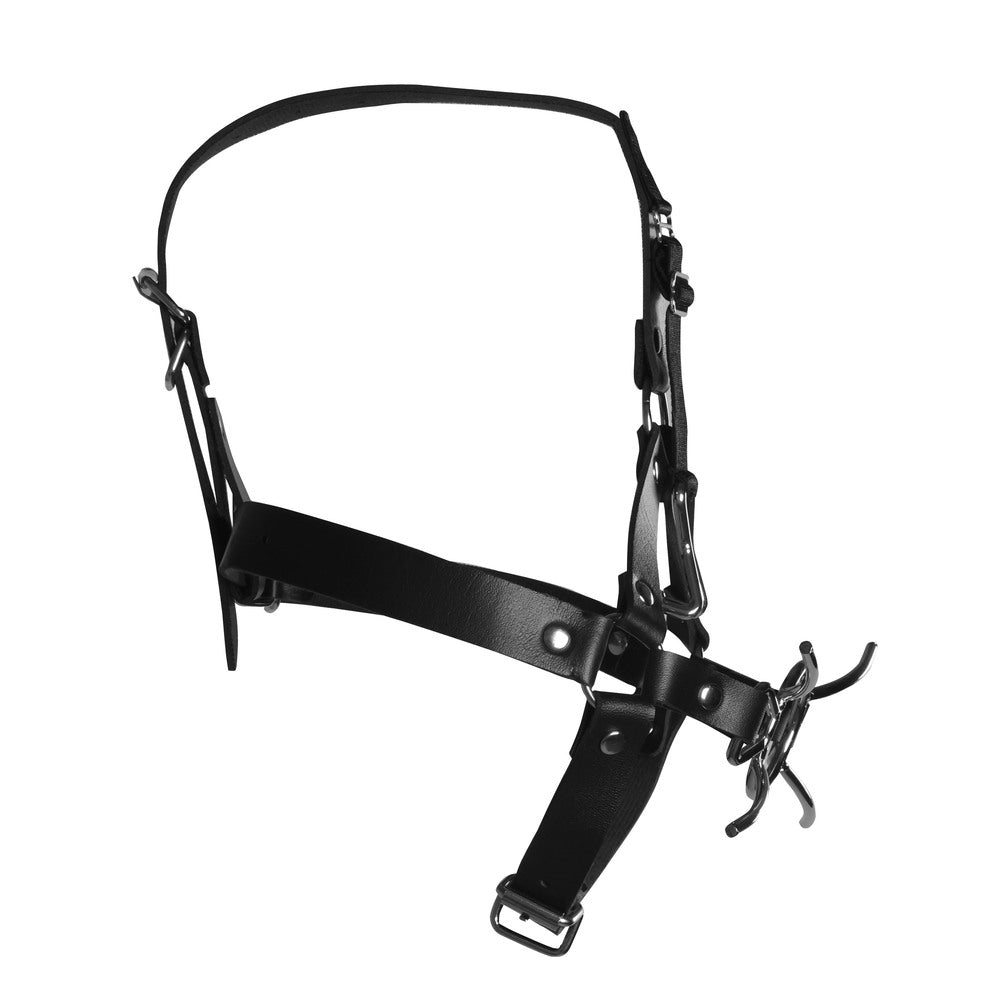 Xtreme Head Harness With Spider Gag And Nose Hooks