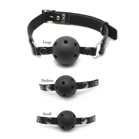 Series Ball Gag Training System