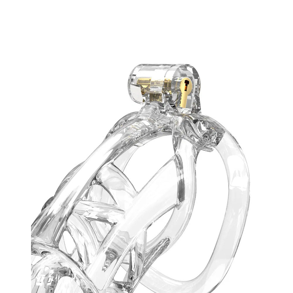 P-Cage PC11 Large Transparent