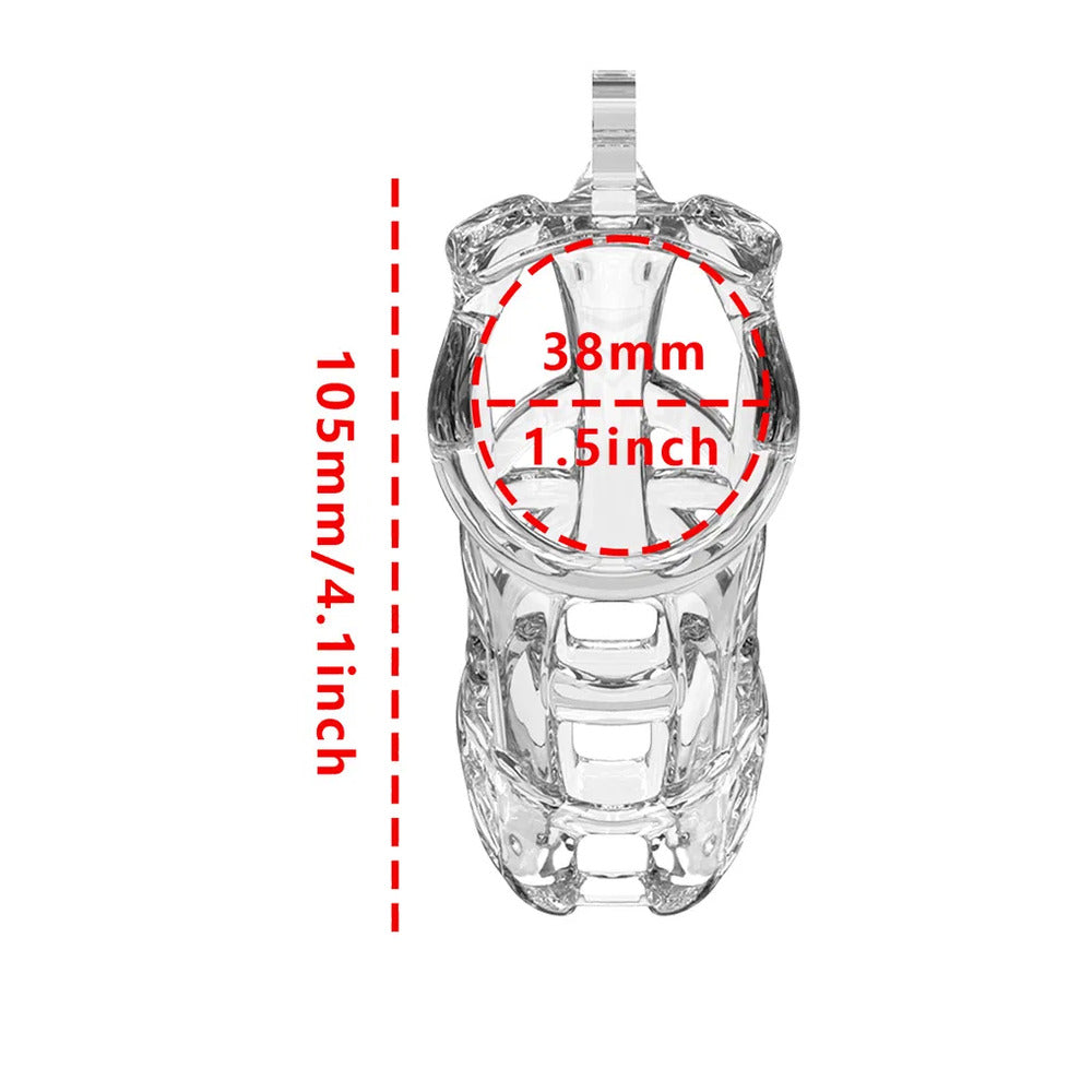 P-Cage PC11 Large Transparent