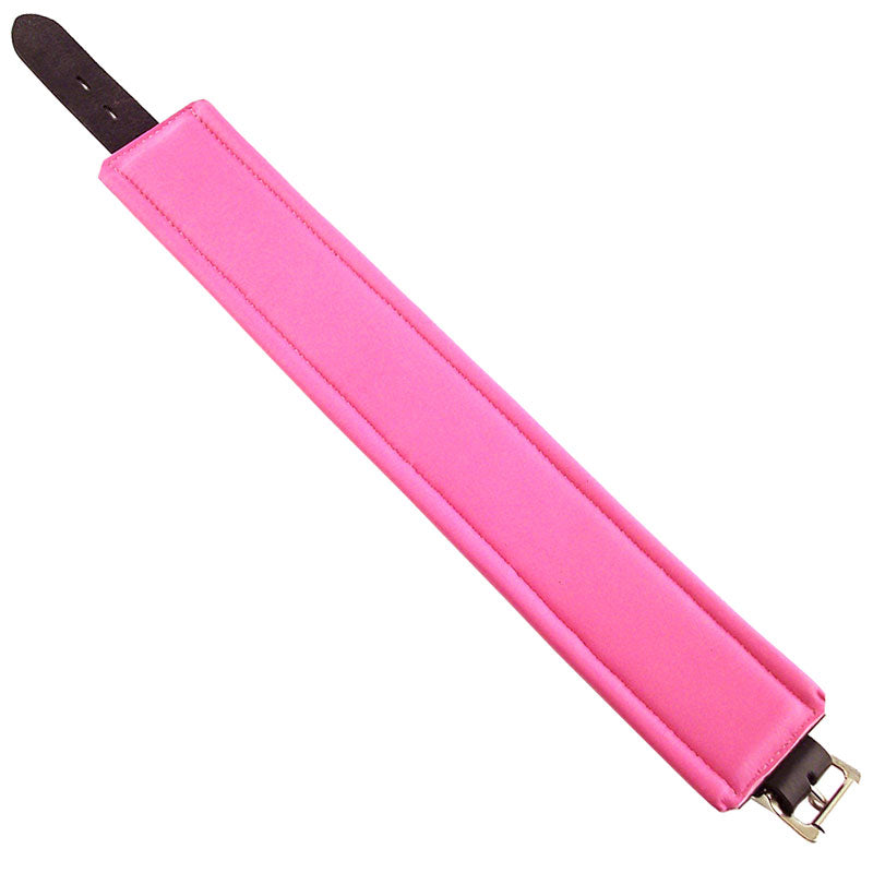 Black And Pink Padded Collar