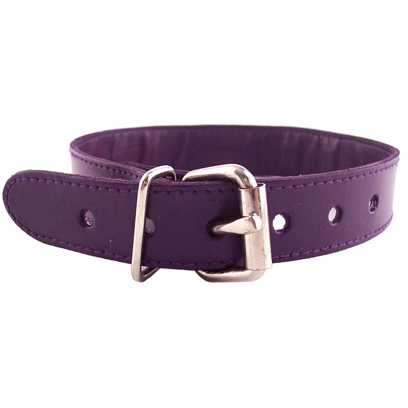 Purple Studded O-Ring Studded Collar