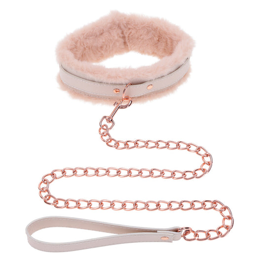 Fur Collar and Leash