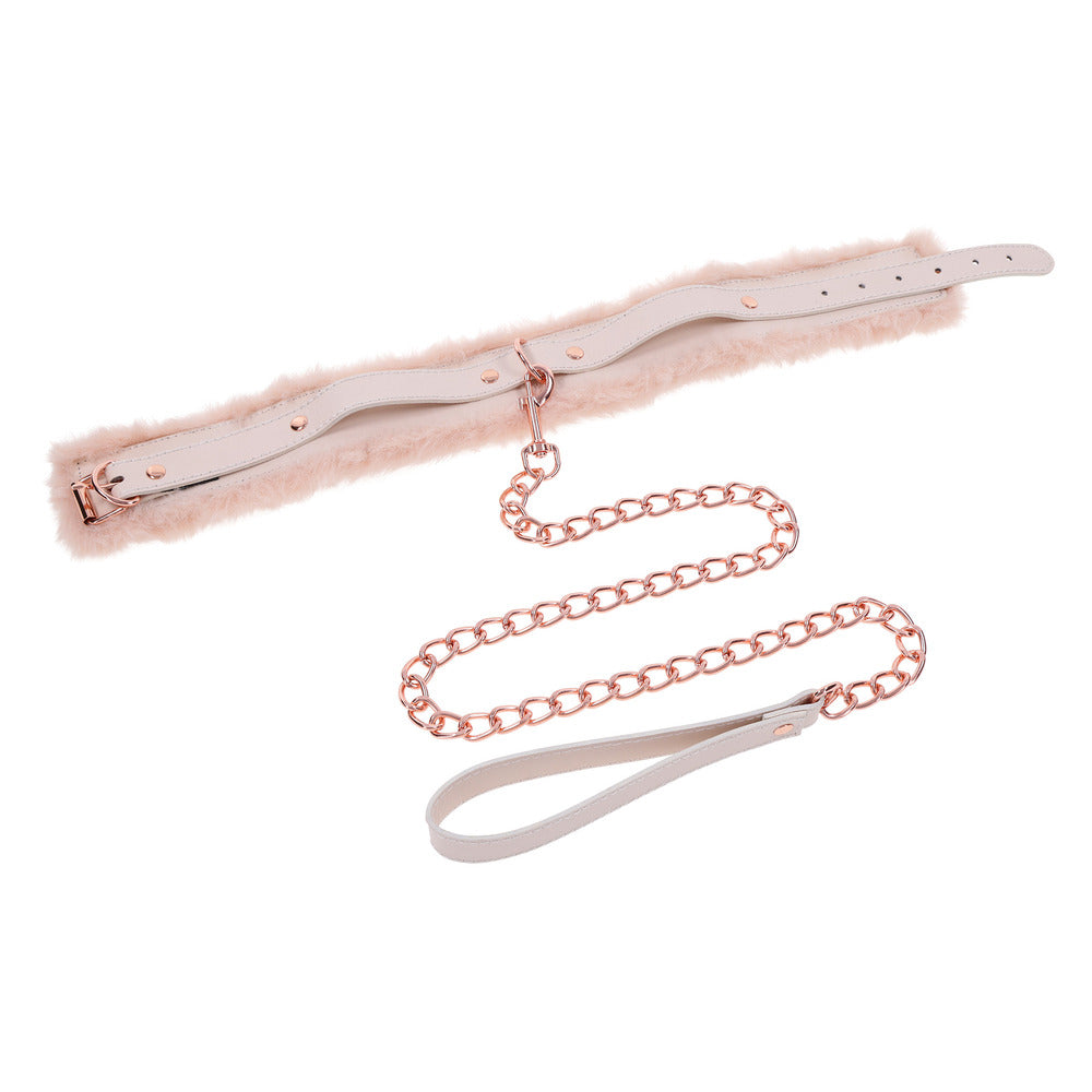 Fur Collar and Leash